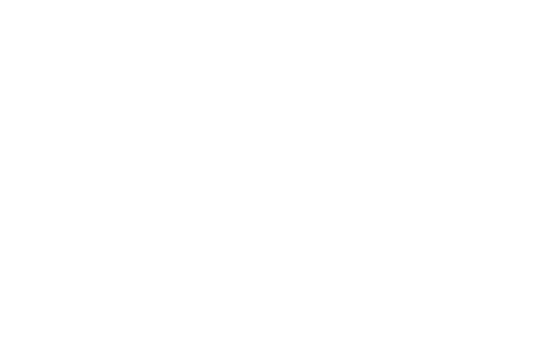 wingwave - Das beflügelnde Kurzzeit-Coaching für Alle.