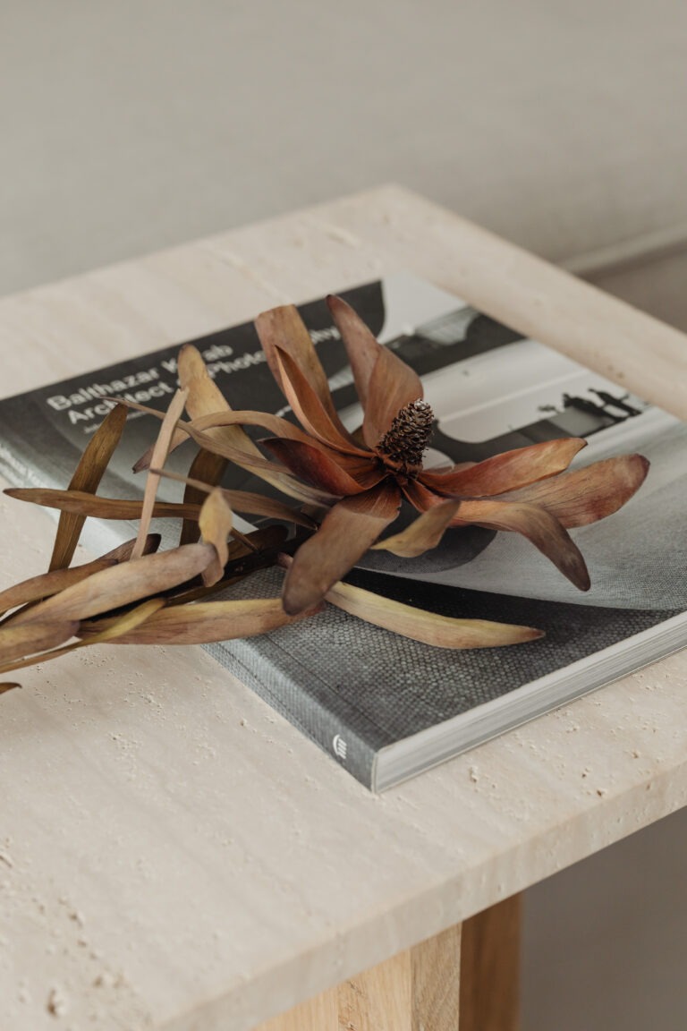 Aufgeschlagenes Buch mit Trockenblumen auf einem Steintisch – Atmosphäre der Praxis von Daniela Hölzer